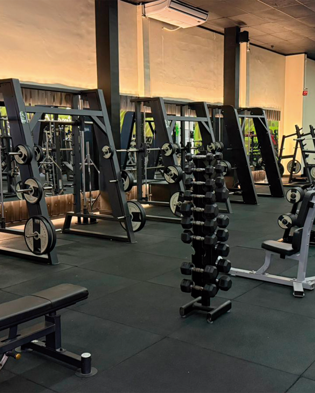 Estrutura Motion Fit