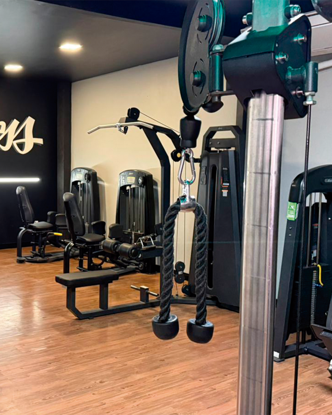 Estrutura Motion Fit